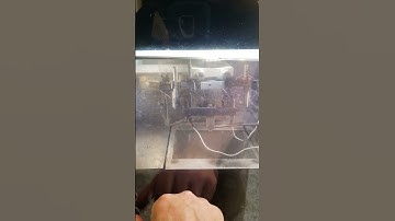 Exploding wire machine in the basement of MIT