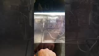 Famous Exploding wire machine in the basement of MIT Net Worth