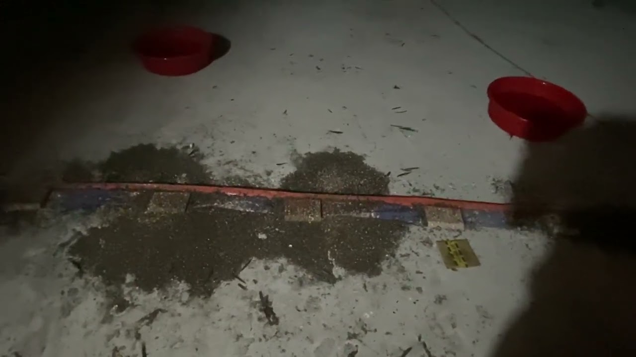 HƯỚNG DẪN KIỂM TRA SỬA CHỮA NHÀ YẾN|BÍ KÍP NHÀ YẾNTHÀNH CÔNG|LH.0987061988