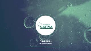 Flavonoids - Audio Article English