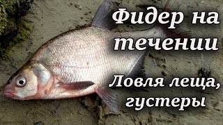 Фидер на реке. Ловля леща, густеры.(Поиск леща на Десне продолжался. Я поехал на рыбалку к паромной переправе через реку. Там место не совсем..., 2016-07-21T21:18:25.000Z)