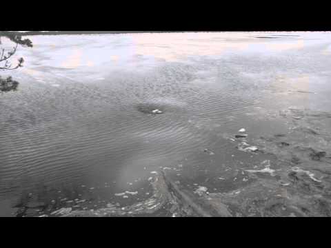 Video: Liustiku Rahvuspargi Hiilgus - Matadori Võrk