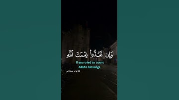 تلاوة خاشعة لآيات من كتاب الله #القرآن_الكريم #الله #اكسبلور #foryou #راحة_نفسية #fyp