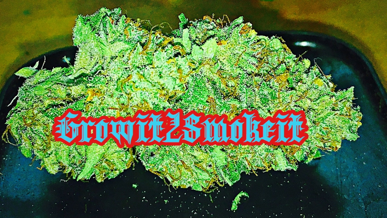 Field Trip To The Grow Store?? Come Chillax