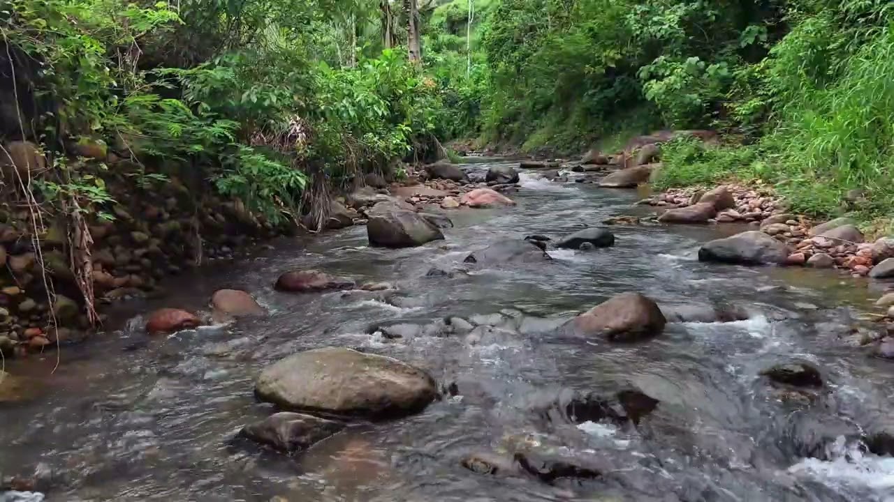 Soothing Jungle River Over Stones for Calm Mind and Sleep