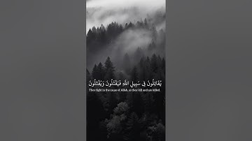 يقاتلون في سبيل اللَّه فيقتلون ويقتلون -سورة التوبة ياسر الدوسري