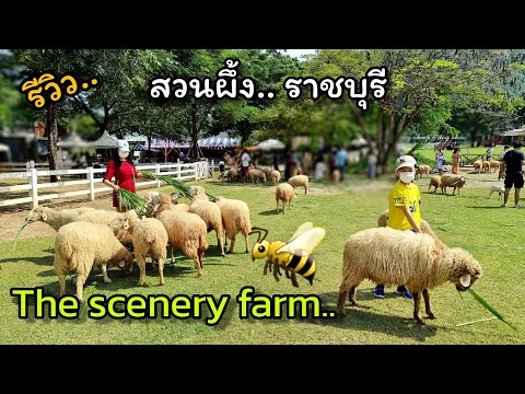 รีวิว The scenery farm and cafe สวนผึ้ง ราชบุรี 