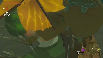 [DAY 550] of finding one korok seed in TotK everyday until we get them all