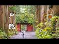 戸隠 秋旅🍁鏡池に映る紅葉絶景と戸隠神社の宿坊で過ごす特別な時間｜五社巡り｜戸隠そば｜長野