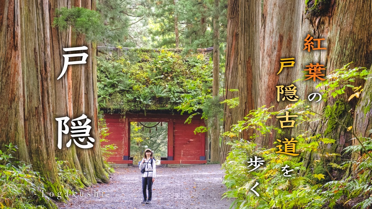 Тогакуси Осень🍁Осенняя Листва у Зеркального Пруда и Ночевка в Храме | Нагано