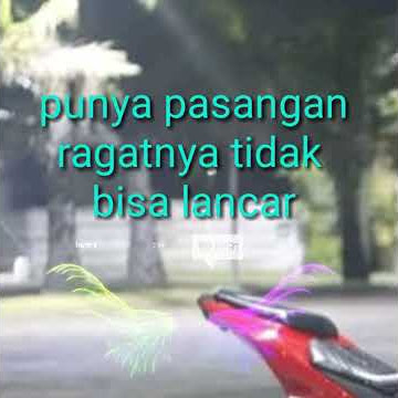 story wa ninja jari-jari 250cc
