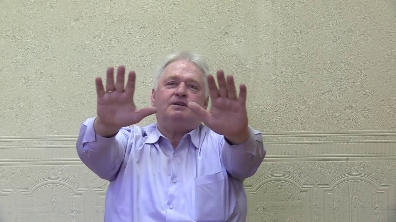 Шашурина ю а