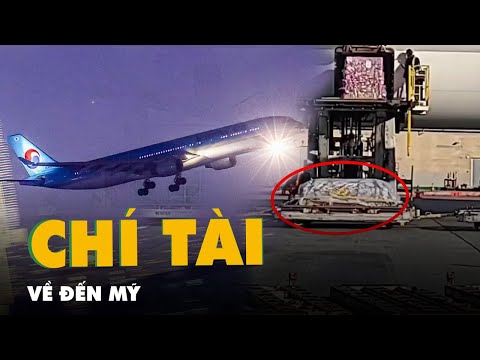 Video Thi hài Chí Tài về đến Mỹ - youtube