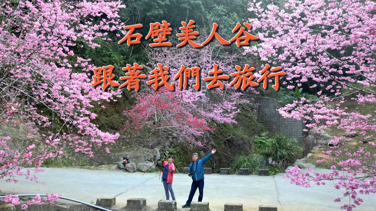🌸🌸整個山谷被粉紅色包圍，沿著溪谷步道一路綻放，空拍視角更能看到「粉紅拱門」般的夢幻畫面！2026/2/21
