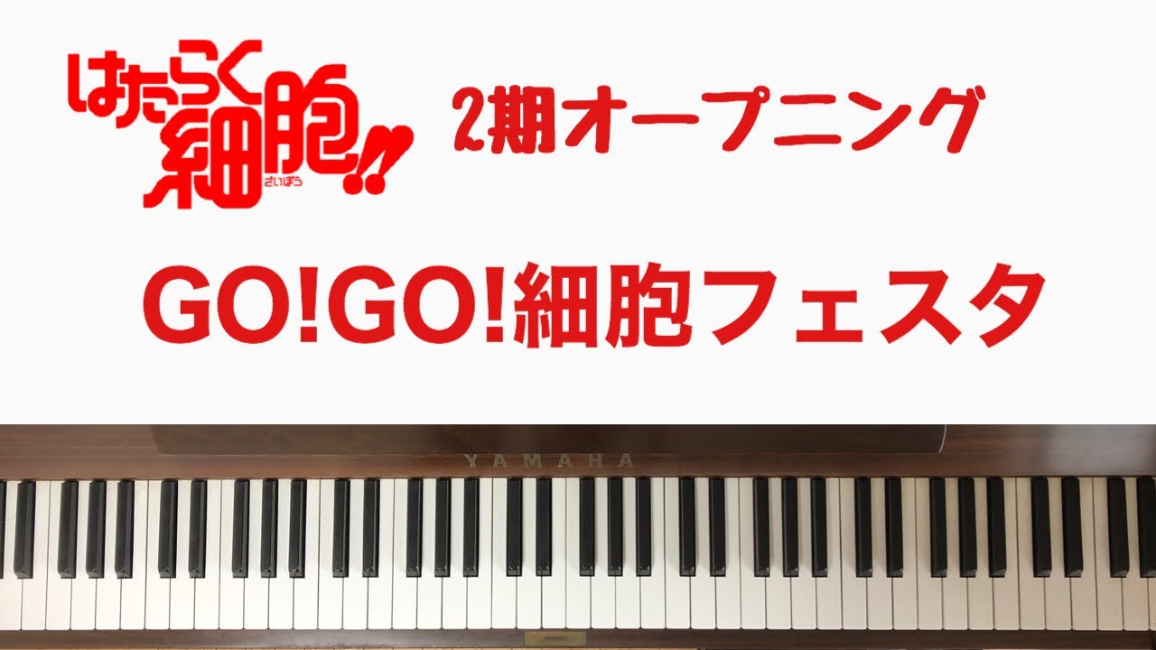 弾いてみた Go Go 細胞フェスタ 赤血球 Cv 花澤香菜 白血球 Cv 前野智昭 はたらく細胞 2期op ピアノ Youtube