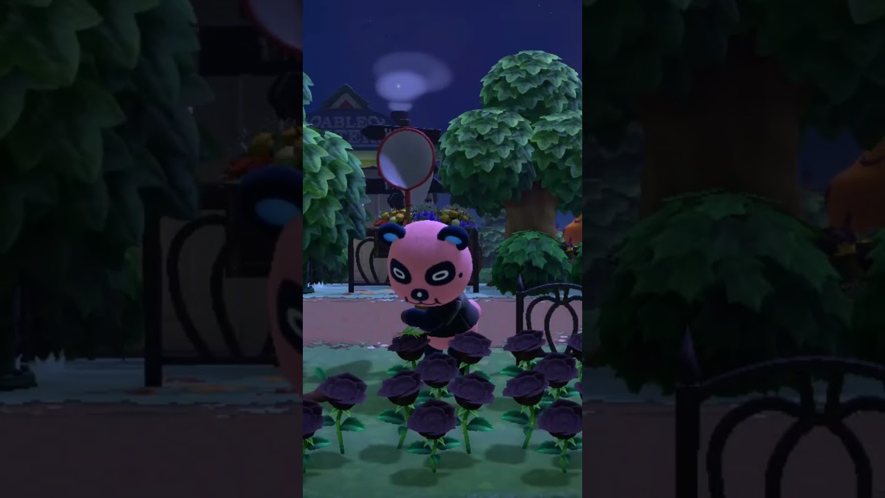 Better luck next time Chow 😮‍💨 