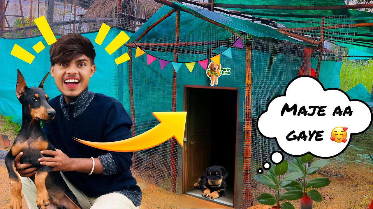 Hamare captain 🐶 ka naya ghar bn gaya 😍🥰😅