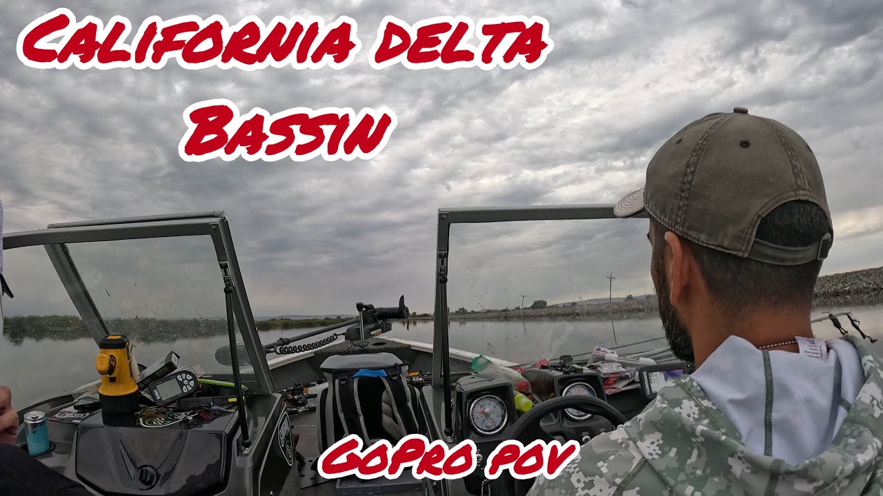 (Part4) CHASING GIANT BASS on the California Delta !! 8/28/2026