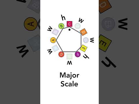 Guitar players NEED to know this  #guitarlesson