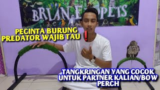 REVIEW LENGKAP TANGKRINGAN BURUNG HANTU/BOW PERCH || BRIAN_EXOPETS