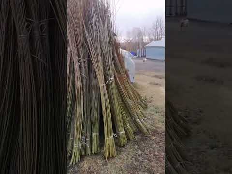 плетёная Мебель из лозы ивы