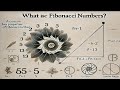 Fibonacci Number effective compute solution in Java.