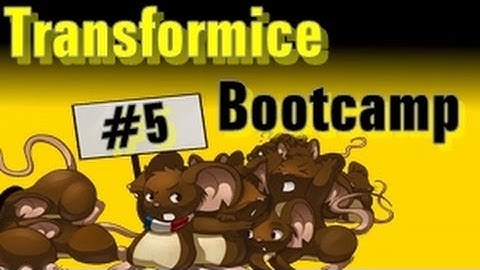 Transformice-Bootcamp #5