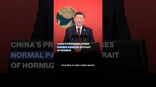 Xi Jinping Stresses Security Of Strait Of Hormuz In Talks With Saudi Crown Prince