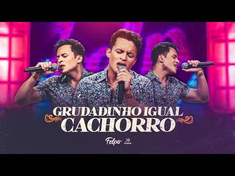 Felipe Sales - Grudadinho Igual Cachorro | DVD Felps