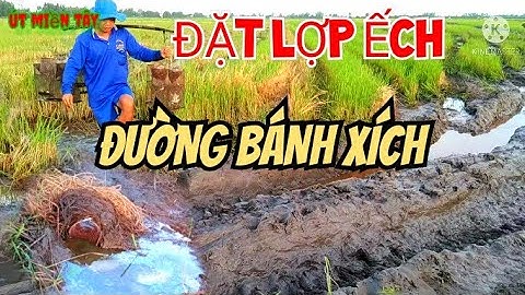 Đặt Lợp Ếch Theo Đường Xích Cộ Lúa@Út Miền Tây