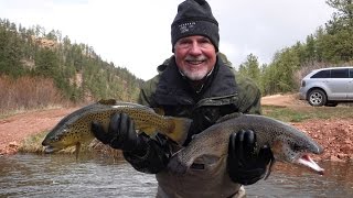 Rainbow Falls Mountain Trout-Stocking Day April 2017
