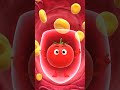 Tomato Power: లైకోపిన్ మీ గుండెను ఎలా కాపాడుతుంది?