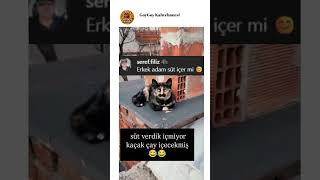 Bıyıklı Aga Miyavettin