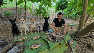 Tending the pumpkin patch and fishing to cook a delicious meal for the dogs, De life vn