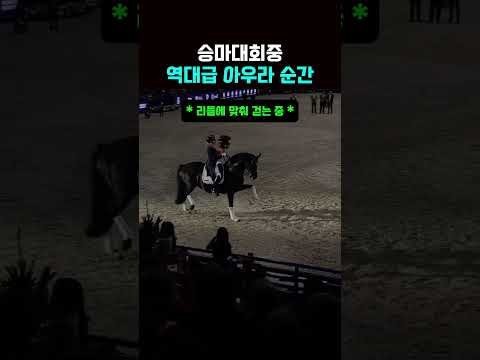 승마대회중 역대급 아우라 순간 thumbnail