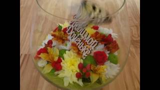 Живая бабочка Идея Левконоя в цветочной вазе. Бабочкин дом, Томск