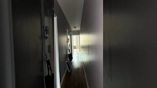 2173 3rd Ave #4