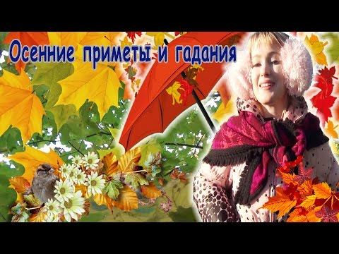 VLOG Ваша Юля