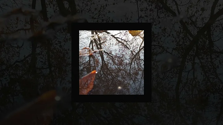 Borrtex - Ame Paix (Official Audio)