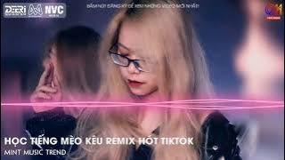 Học Tiếng Mèo Kêu Remix (KienQN Remix) - Hot Tik Tok Nhạc Trung Quốc Remix Cực Hay