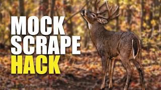 This Mock Scrape Hack Drives Bucks Crazy!