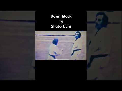When a Traditional Martial Arts Move Actually Works in combination!  @davidskaratetips.7306
