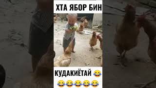 ПРИКОЛИ ТОЧИКИ 2022 😂😂#душанбе #таджикистан #юмор #рекомендации #топ #топчик #приколы #лайк