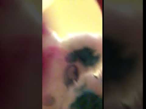 u bes not show up at the furry convention nigga - u bes not show up at the furry convention nigga