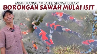 This Is The Wholesale Price For Mbah Mangils Showa Pool In Blitar