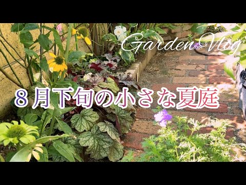 夏の終わりのガーデニングでやるべき7つのタスク