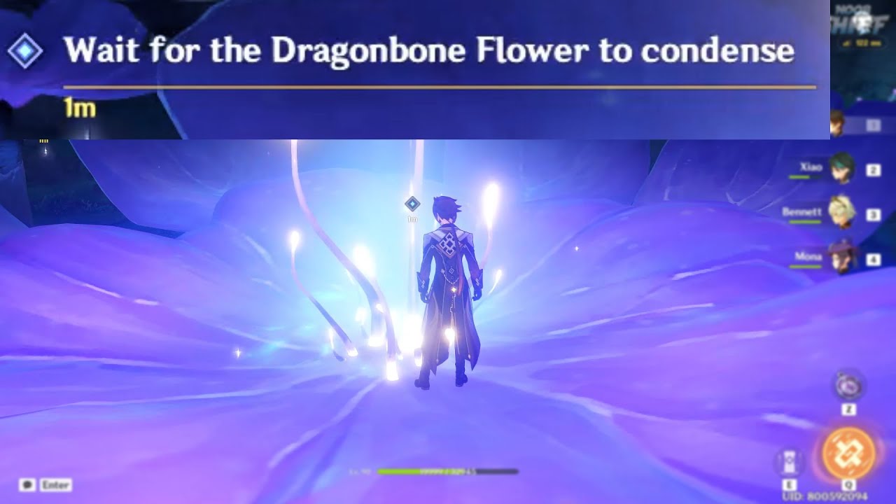 Wait for the Dragonbone Flower to condense | Enkanomiya - YouTube