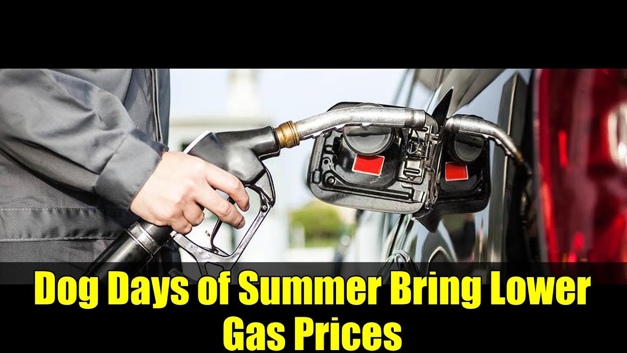 Dog Days of Summer Bring Lower Gas Prices