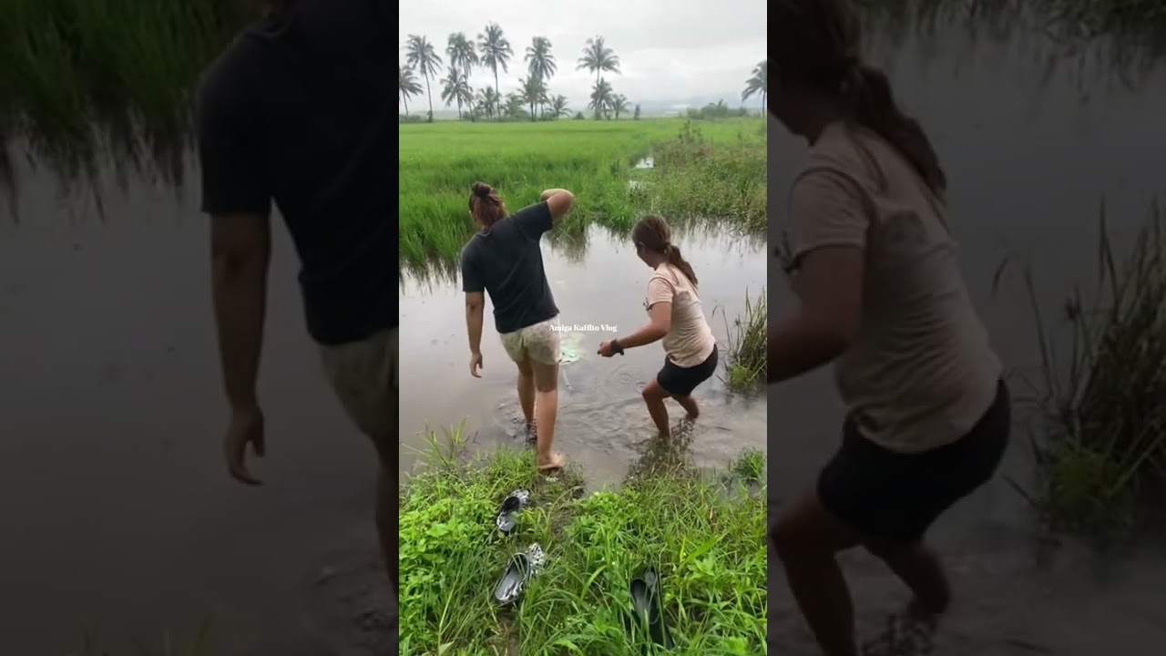 tara manghule tayo ng palaka bukid
