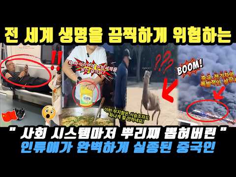 중국반응ㅣ대낮 싹쓸이 절도에 불타는 전기차 은폐… 전 세계가 기겁한 대륙의 끔찍한 생지옥 😱